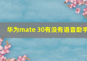 华为mate 30有没有语音助手